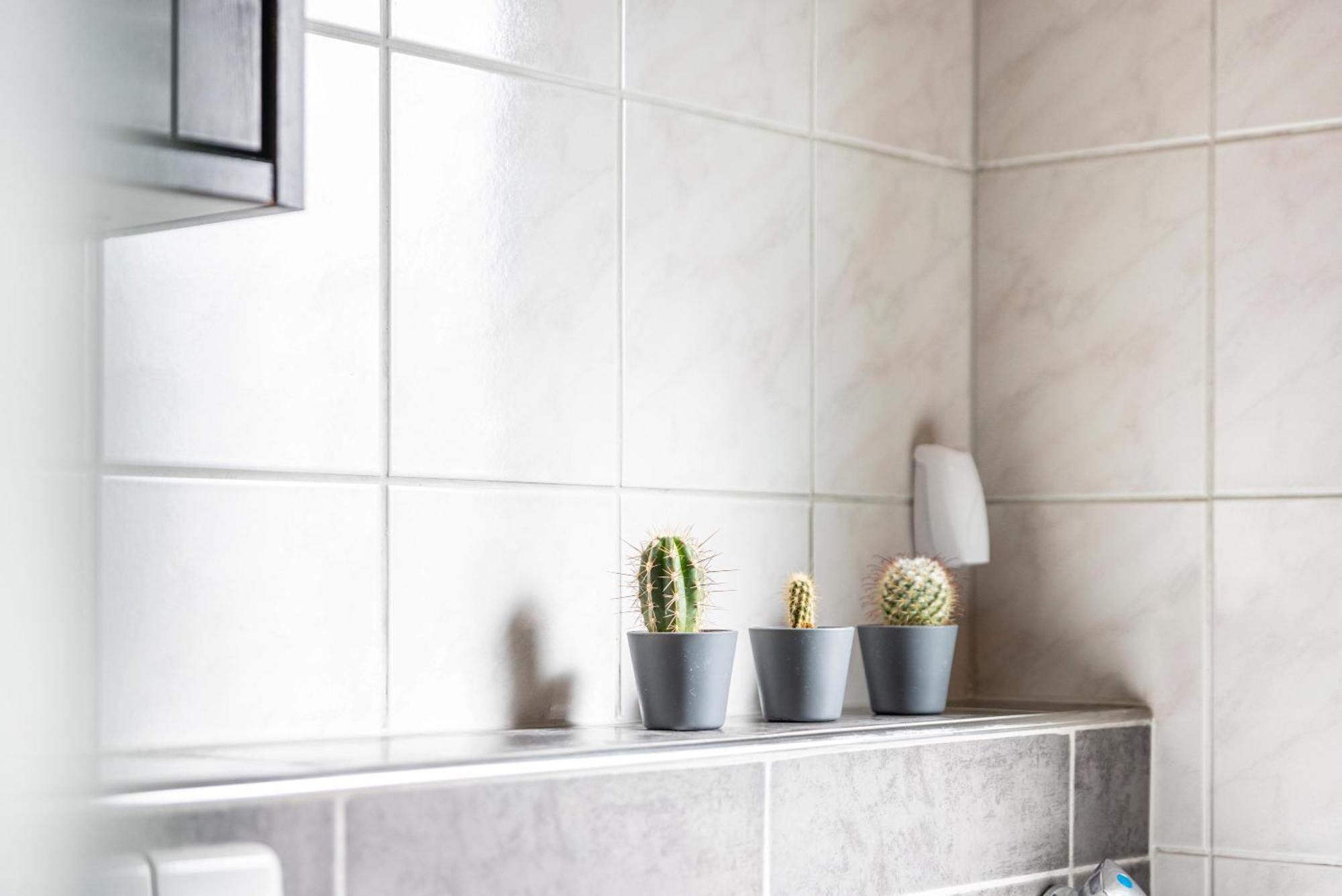 Suedalb Apartment Албщат Екстериор снимка
